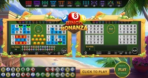 bingobonanza banner image